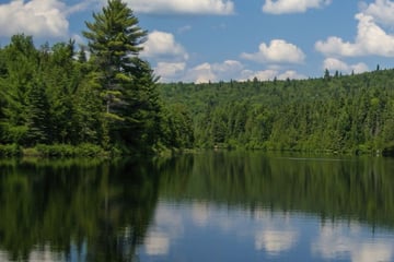 Summer at Algonquin Provincial Park