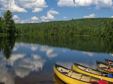Summer in Algonquin Provincial Park