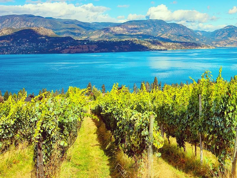 Summerhill Pyramid Winery, Kelowna