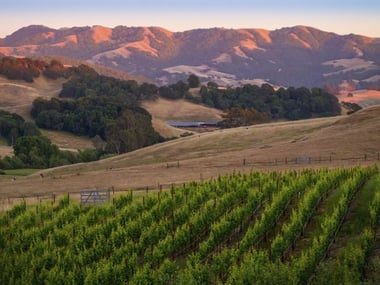 Sonoma Valley