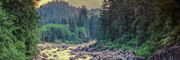 Swift River, in the White Mountains