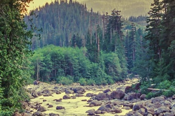 Swift River, in the White Mountains