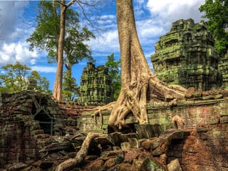 Ta Phrom, Cambodia