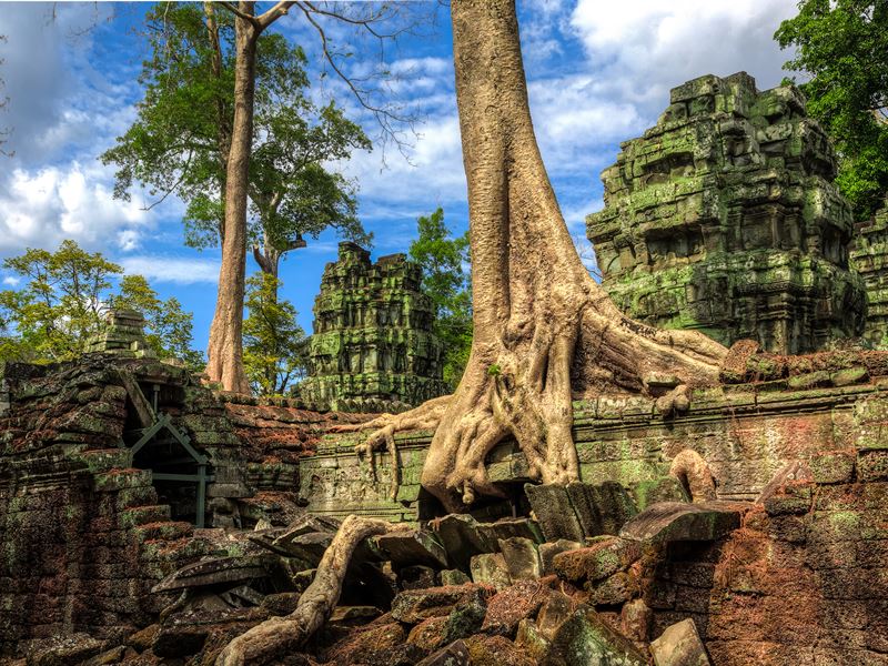 Ta Phrom, Cambodia