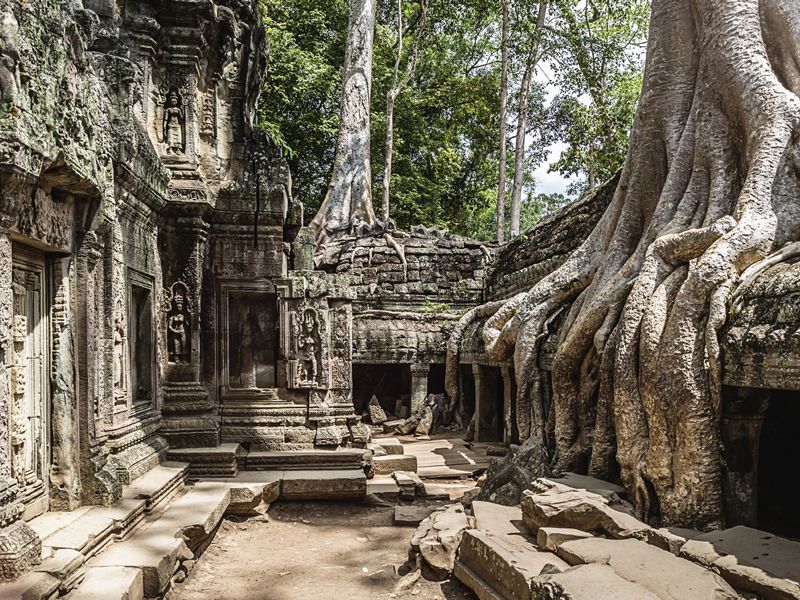 Ta Prohm Temple ruins, Cambodia