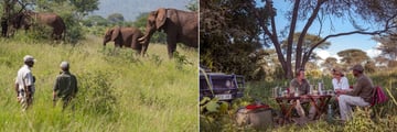 Tanzania luxury safari experience