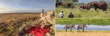 Tarangire landscapes & wildlife
