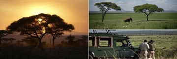 Tarangire National Park