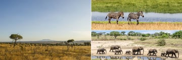 Tarangire National Park