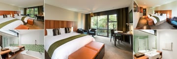 Te Waonui Forest Retreat, (clockwise from top left): Deluxe Twin Room - Two Queens, Deluxe King Room, Deluxe Twin Room - Two Queens, Room Bathroom