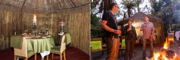 Te Waonui Forest Retreat, Forest Dining Experience - Forest Gazebo and Forest Dining Experience Guests