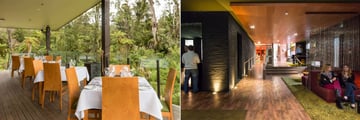 Te Waonui Forest Retreat, The Canopy Restaurant Terrace and Frond Bar