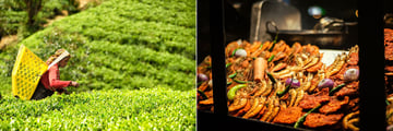 tea pickers and street food, sri lanka