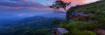 KwaZulu Natal