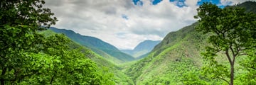 Thailand's Rural Scenery