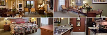 The Berkley, Orlando, (clockwise from top left): Three Bedroom Suite Living Area, Two Bedroom Suite Living Area, Two Bedroom Suite Kitchen and Two & Three Bedroom Suite Master Bedroom