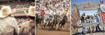 Activities & Fun at the Calgary Stampede