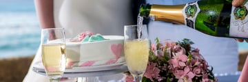 The Club Barbados Resort & Spa wedding toast