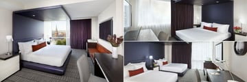 The Donovan - a Kimpton Hotel, City View King Executive, King Deluxe and Double-Double Executive