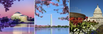 Highlights of Washington D.C