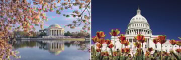 The Jefferson Memorial & Capitol Building, Washington D.C