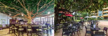 Emerald Tree Lounge and Court Jesters Cafe at The Jewel Dunn’s River Resort