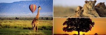 The Masai Mara landscapes, wildlife and sunset