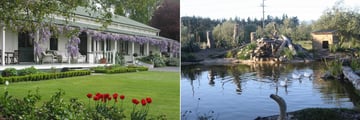 The Peppertree, Vernada, Gardens and Pond