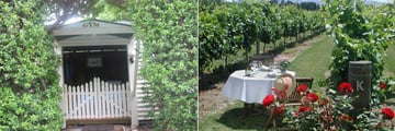 The Peppertree, Gym and The Peppertree's Vineyard