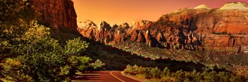 Road in Zion National Park