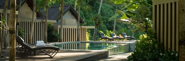 The Samaya Ubud, Pool