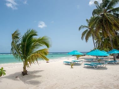 The beach at The Sands Barbados