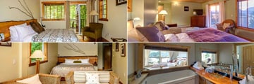 The West Coast Wilderness Lodge, (clockwise from top left): Oceanview Room, Oceanview Suite, Oceanview Suite Bathroom and Forest Suite