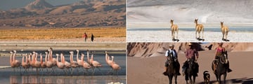 Beautiful wildlife, hiking and horseback riding in Tierra Atacama Boutique Hotel & Spa