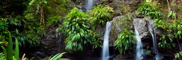 Rainforest waterfalls in Tobago