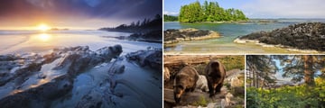 Tofino Landscapes, Bears & Pacific Rim National Park