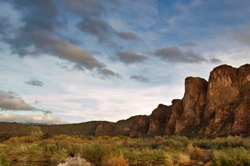Tonto National Forest