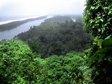 Aerial view of Tortuguero