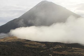 TranzAlpine train travelling through New Zealand