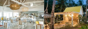 Tropical Attitude restaurants