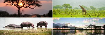 Tsavo National Park landscapes and wildlife