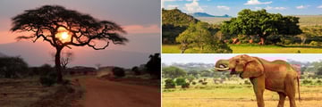 Tsavo National Park