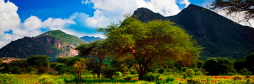 Tsavo Savannah Landscape