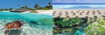 Swimming turtle, Akumal Beach and Cenote Xel Ha Cancun