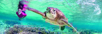 Snorkelling in Elliot Island, Great Barrier Reef