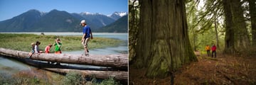 Tweedsmuir Park Lodge, Kids Playing and Giant Cedar Walk