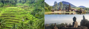 Ubud rice paddies, Ulun Danu temple & Borobudur temple, Bali