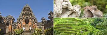 Ubud Temple, Rice paddies and Monkey Forest