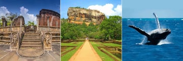 Uga Bay, Polonnaruwa Tour, Sigiriya Rock Fortress and Whale and Dolphin Watching