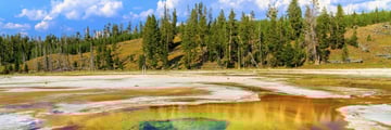 Upper geyser basin in Yellowstone National Park
